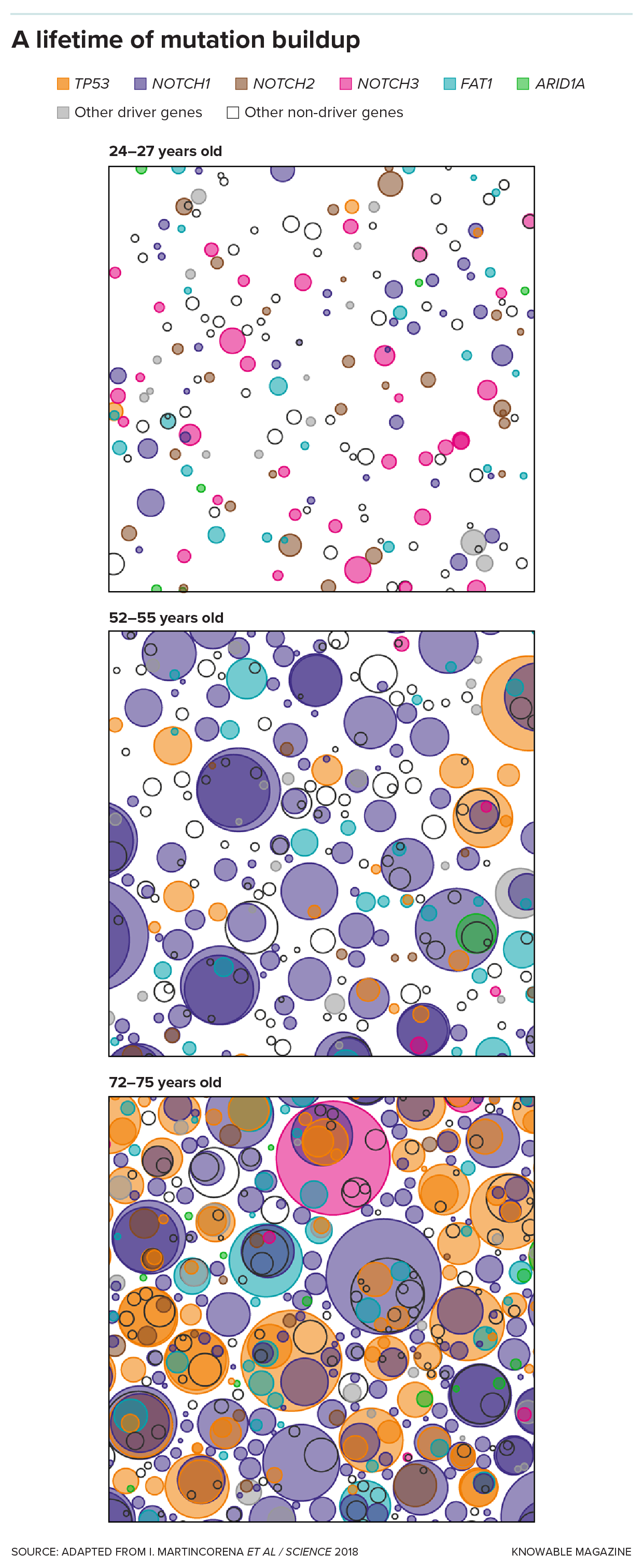 Three panels depict multicolored, overlapping circles of varying sizes