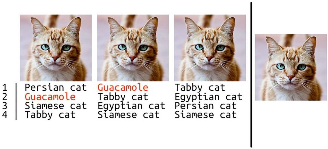 Guacamole cat Four images of a cat some of which are incorrectly labelled by a computer.