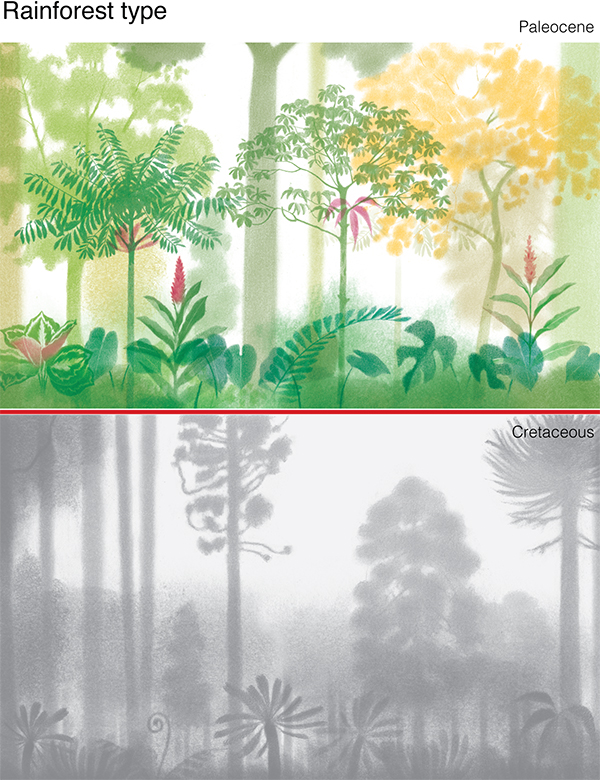 Artistic reconstruction of the appearance of tropical forests before (Cretaceous) and after (Paleocene) the meteorite impact on the Yucatan Peninsula 66 million years ago. The Paleocene image is in color and shows a thicker forest with flowers. The Cretaceous image is in black and white and shows a forest dominated by tall trees.