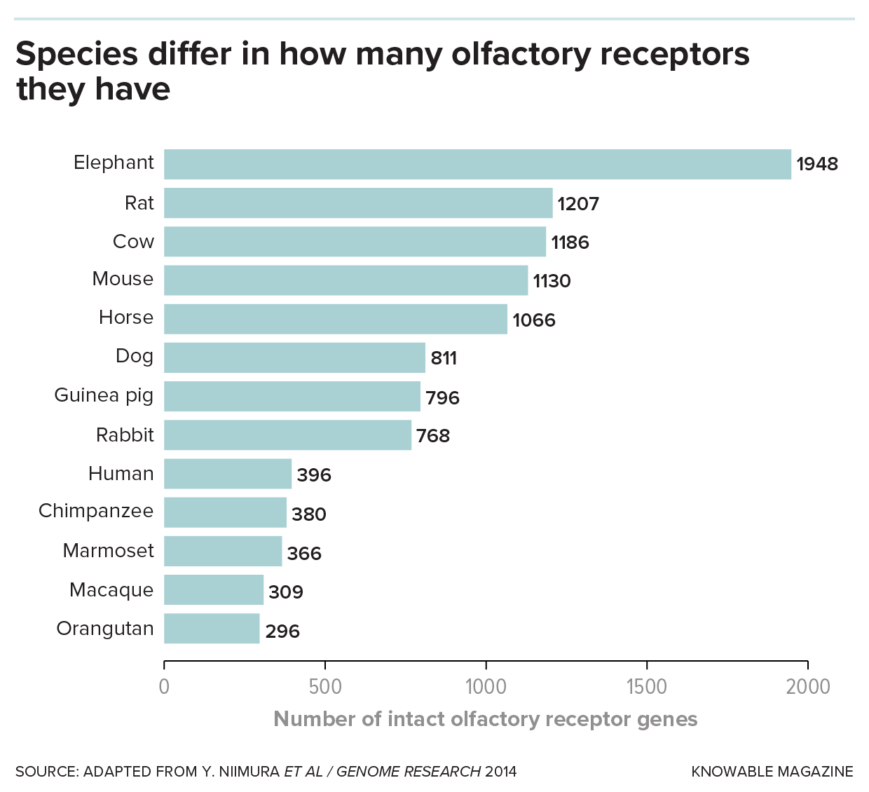 Bar graph of number of olfactory receptors in various mammals