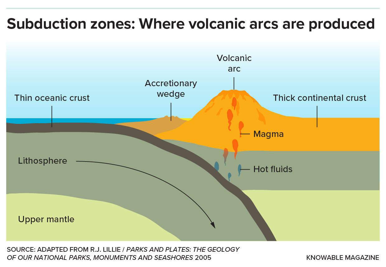 A graphic shows the process of tectonic plate subduction that gives rise to the formation of volcanic arcs.