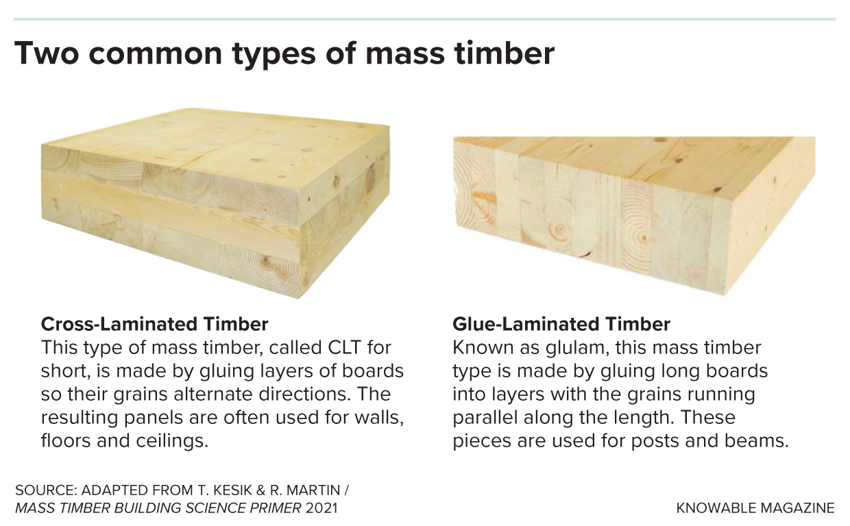 Two blocks of mass timber wood, one with boards running lengthwise called glue-laminated timber and the other widthwise called cross-laminated timber.