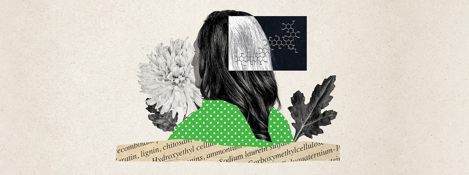 knowablemagazine.org image