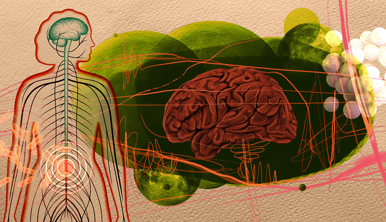 Collage depicts microbes, the brain, the human body and nerve cells.