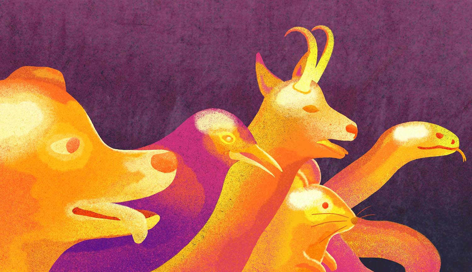 They call it stupid hot for a reason: Heat muddles animal brains