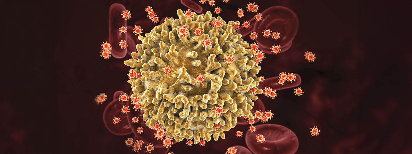 knowablemagazine.org image