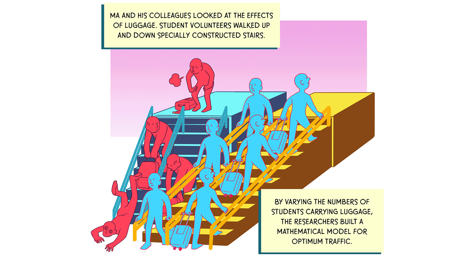 People, some dragging suitcases, going up and down two staircases with handrails. One person has tripped on a suitcase and fallen to the bottom of the stairs. TEXT: Ma and his colleagues looked at the effects of luggage. Student volunteers walked up and down specially constructed stairs. By varying the numbers of students carrying luggage, the researchers built a mathematical model for optimum traffic.