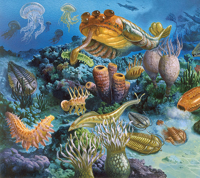 Cambrian explosion Illustration of a variety of early animal forms thought to have lived around the time of the Cambrian explosion.