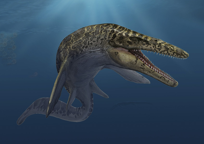 An artist’s conception of a toothy, aquatic reptile.