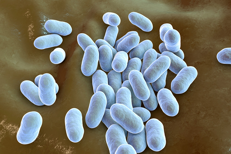 3-D illustration of rod-like bacteria, colored blue.