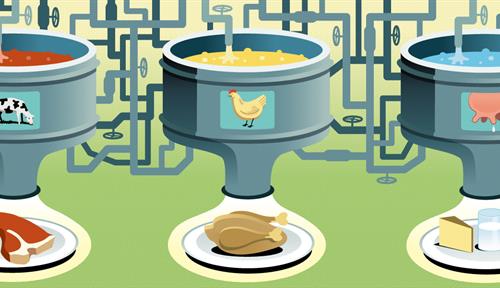 Illustration shows three large vats of cells and industrial tubing that output beef, chicken and dairy products.