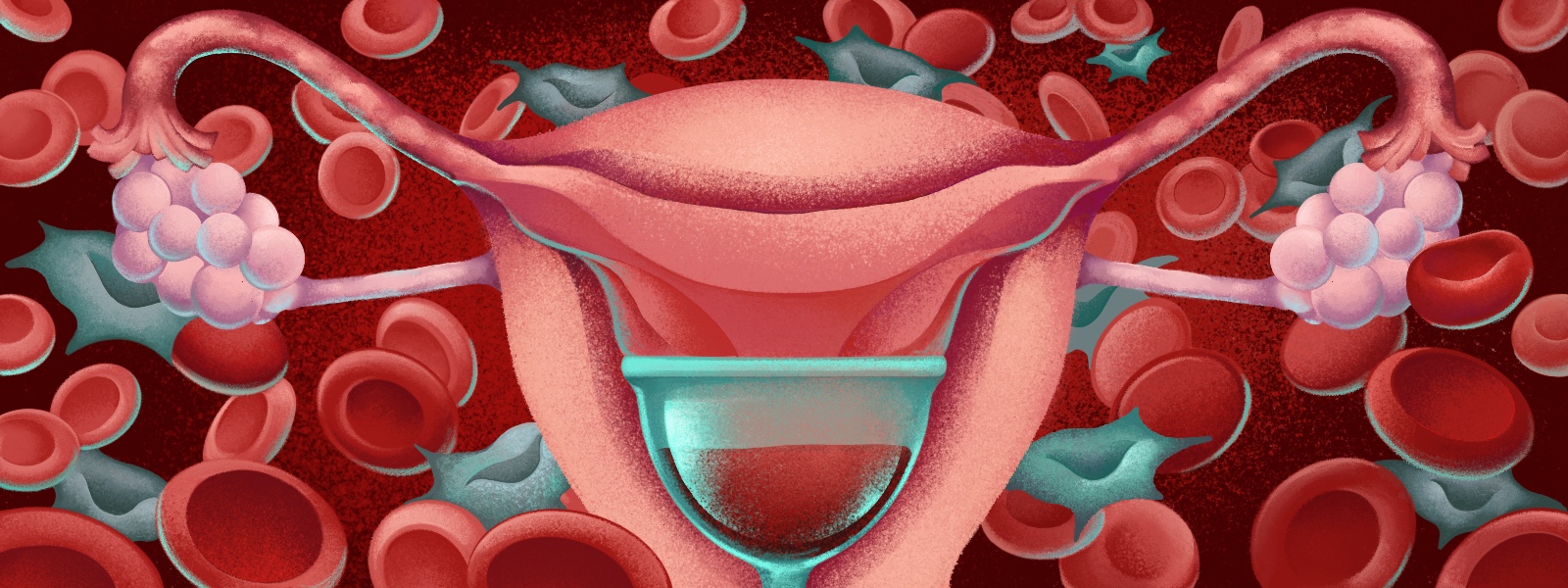 FertilityEd - During menstruation, the body sheds tissue and blood