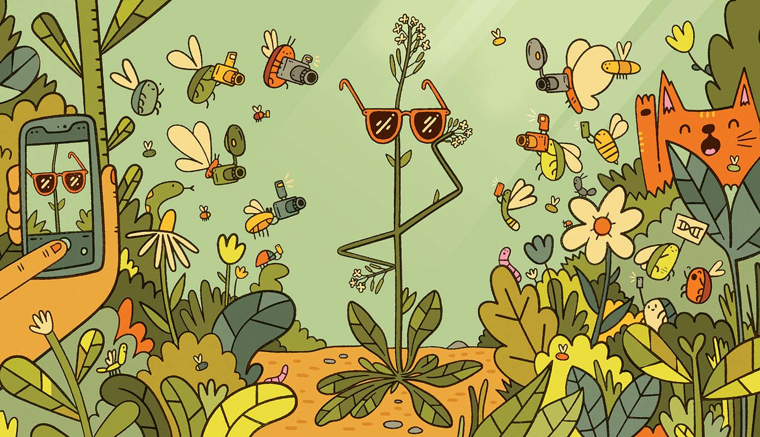 Illustration shows skinny plant wearing sunglasses and posing for photographs while animals, plants and a person cluster around it.