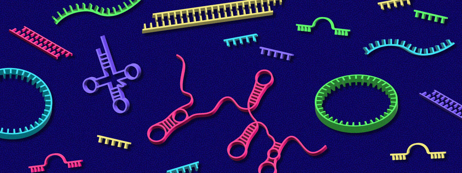 knowablemagazine.org image