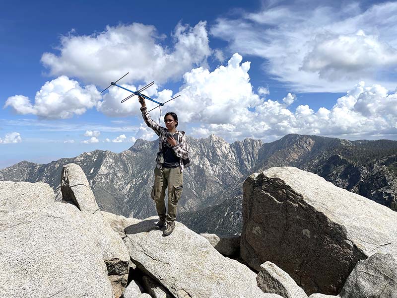 A woman standing on the top of a mountain is holding an antenna.