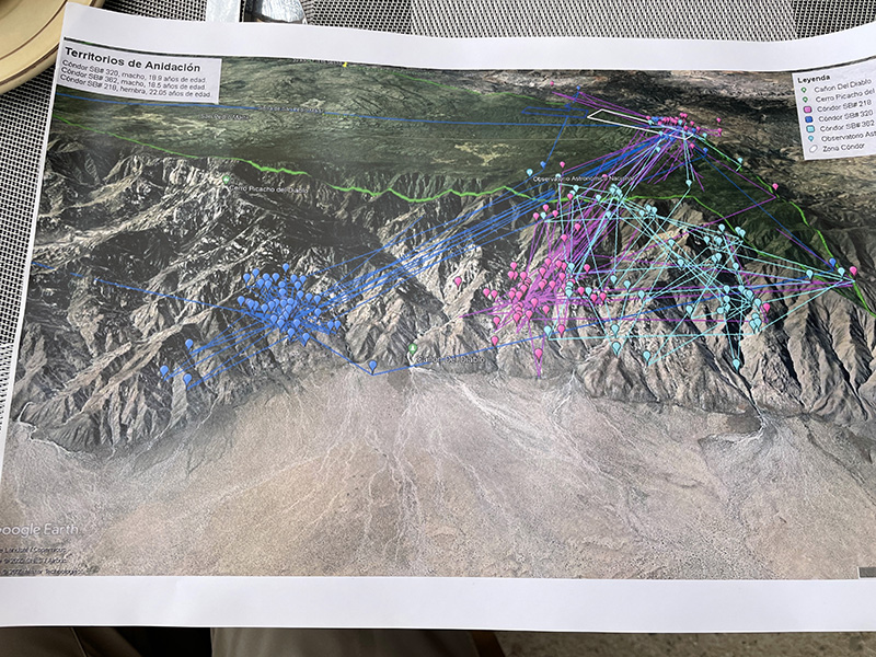 Photograph of a mountain range with colored lines.