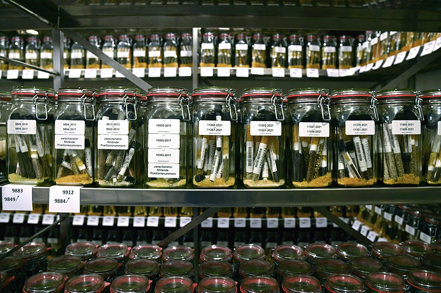 Seed bank A photograph shows shelves filled with jars containing many vials of seeds.