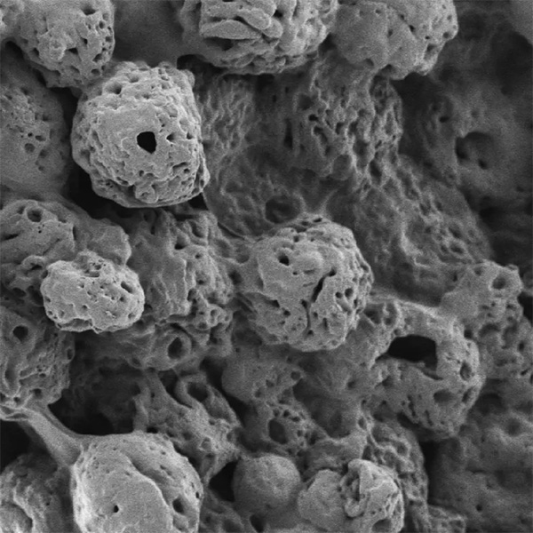 Gray, porous blob
