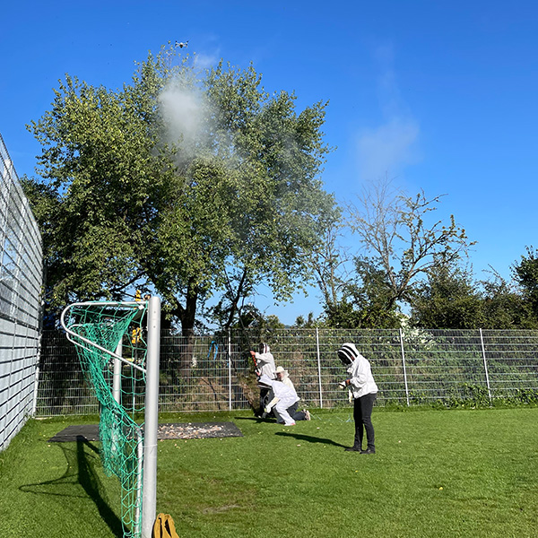 A photo shows four people dressed in bee protective gear on a grass field. A soccer goal is to one side. One person places a long pole up to a large tree that hangs over the field. A small drone hovers above the tree.