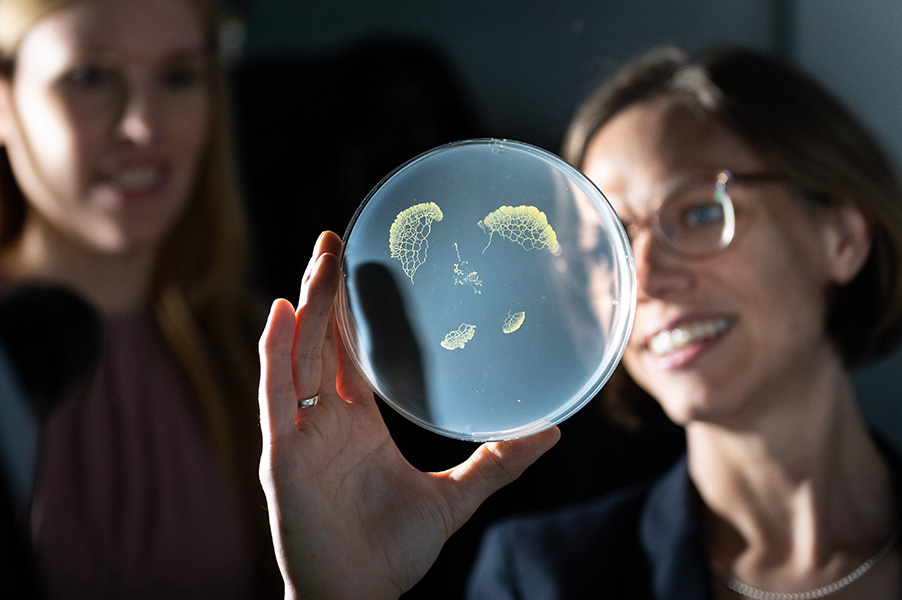 Karen Alim Photograph of Karen Alim holding up a petri dish on which a slime mold is growing.