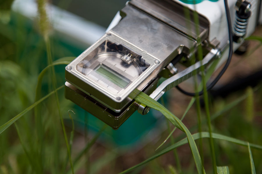 Stomata measurement The image shows a measuring device fitted over a leaf.