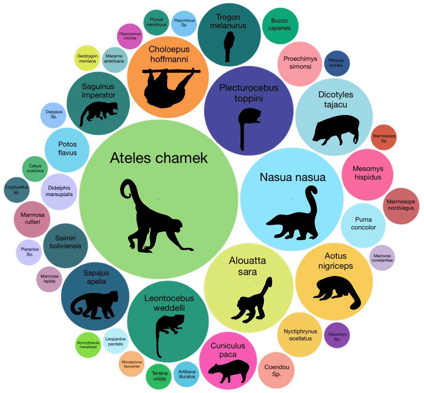 Graphic of different-sized circles, each representing a species of mammal detected by collecting DNA from dung beetles.