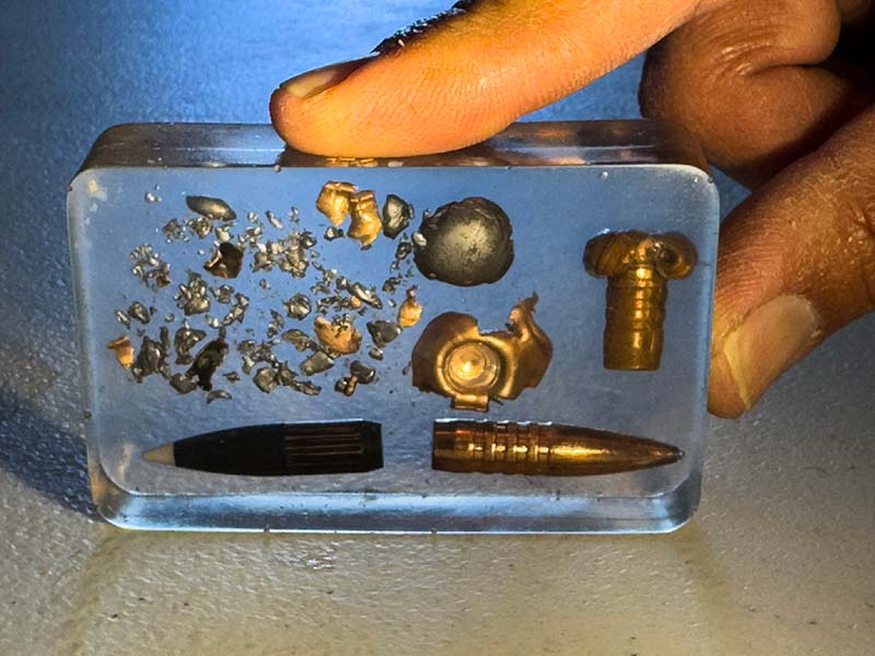 Bullets, pellets and lead fragments preserved in a block of resin.