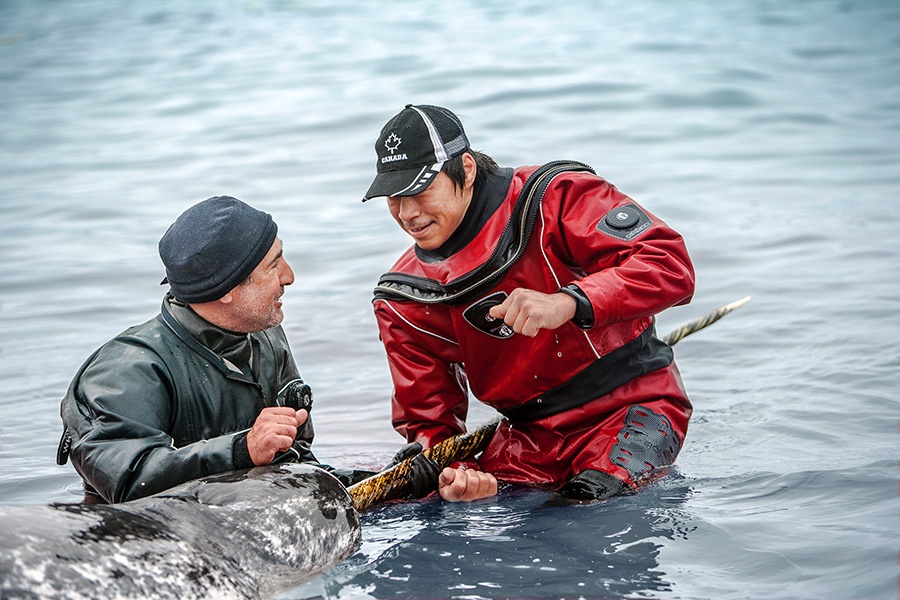 Two men in the water, wearing heavy-duty wetsuits. They have captured a narwhal, whose head and tusk are shown in the shot.