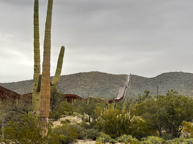 Landscape showing an arid land with bushes and a mountain in the background. The land is divided by a brown wall. In the foreground is a huge cactus.