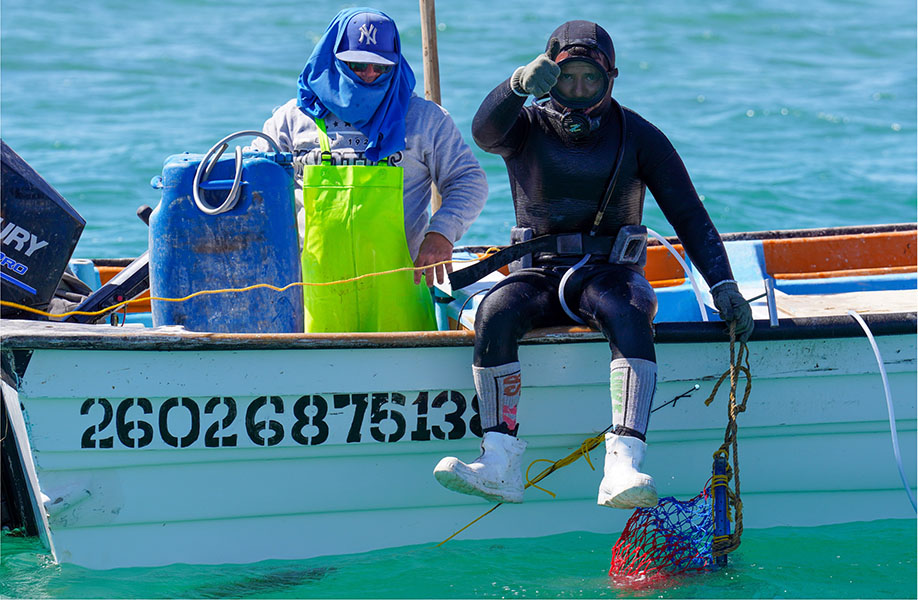 Two men aboard a small boat. One is sitting on the edge of the boat, dressed in a diving suit and holding a net in one of his hands.