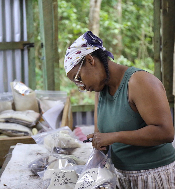 Archaeologists from Africa A woman uses a marker to label bagged samples.