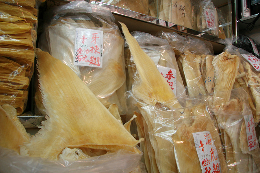 Yellow, dried shark fins are displayed inside plastic bags with labels in Chinese.