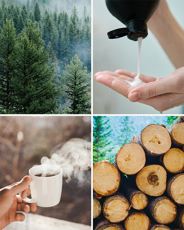 Photos of shampoo, coffee, trees and logs.