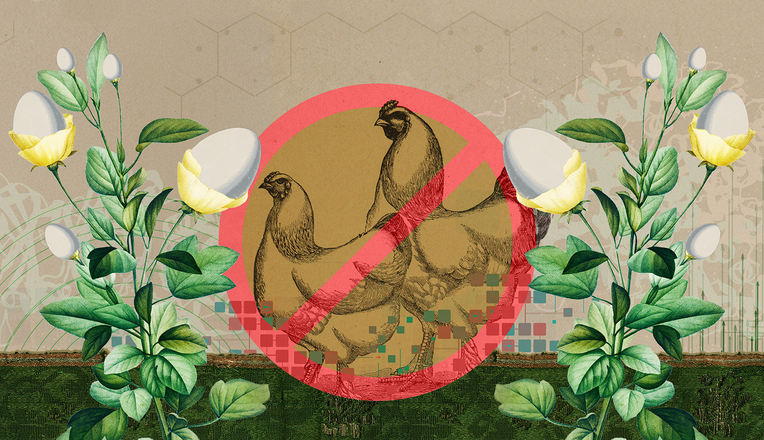 Illustration shows plants with eggs where flowers should be. In center are two chickens with red slash through them. Background shows faint outline of proteins.