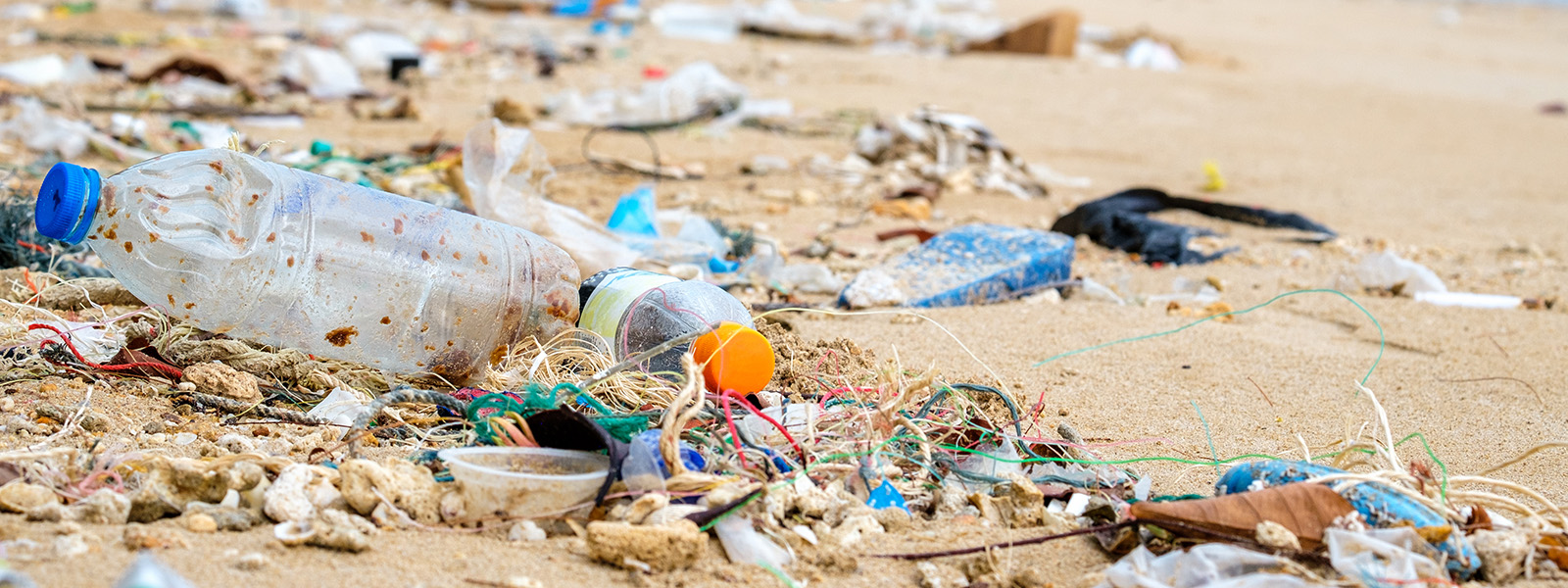 Reducing plastic pollution: Inching towards a global treaty | Knowable ...