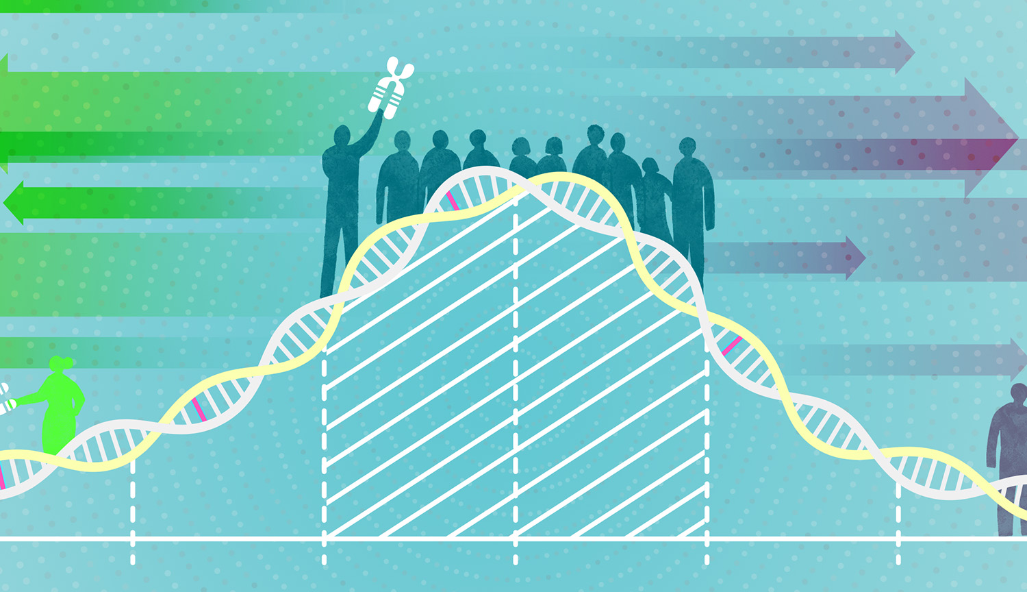 A DNA double helix delineates a line graph with a bell curve shape. A few of the base pairs are highlighted in pink. Human silhouettes appear atop the curve, with most of them in the middle and just a few at the extremes. Some of the people are holding chromosome shapes.