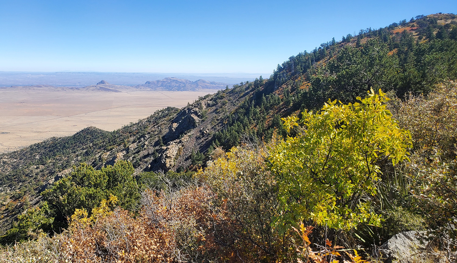 Fotografía de una montaña cubierta de vegetación que se eleva sobre las tierras bajas del desierto.