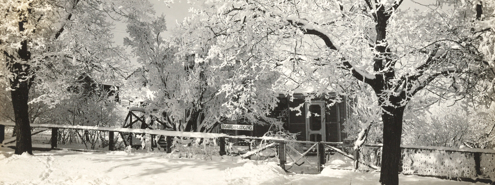 Science stories for the holiday season - cover