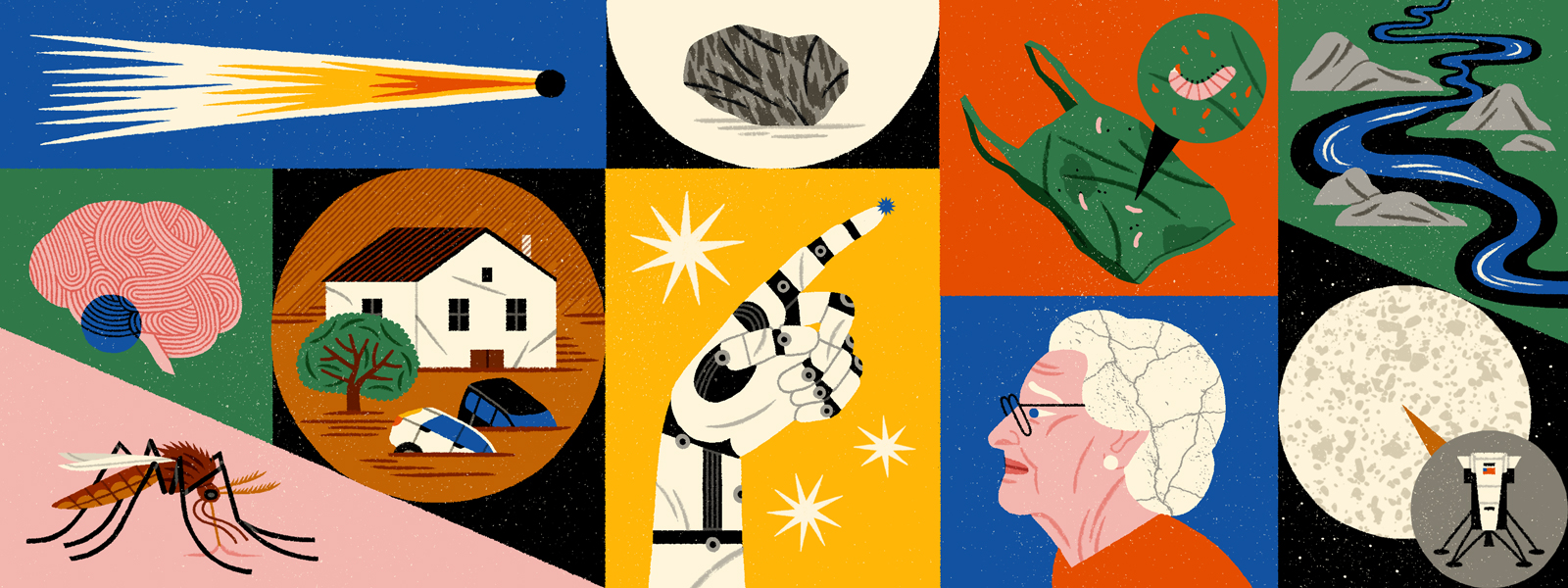 Illustrated collage highlights some of the science stories of the year.